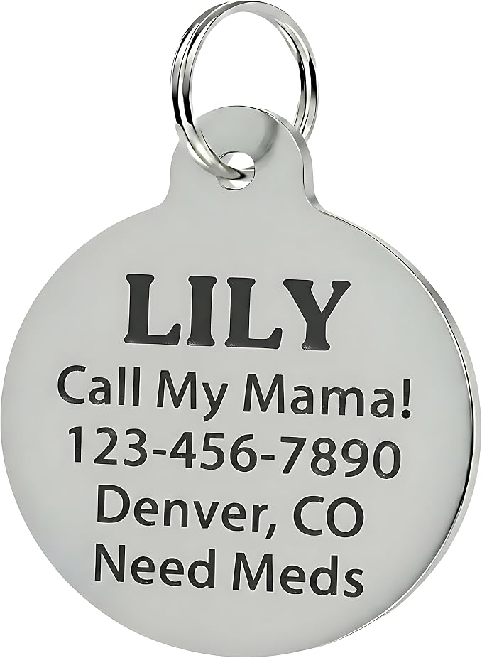 Bad Tags Personalized Dog and Cat ID Tags in 25+ Designs and 2 Sizes - 5 Lines of Custom Engraved Text - Funny Cute Personalized Pet Tags (Cutie with A Booty - Pink, Large (1.25 inch))