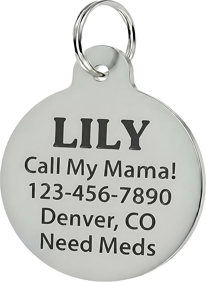 Bad Tags Personalized Dog and Cat ID Tags in 25+ Designs and 2 Sizes - 5 Lines of Custom Engraved Text - Funny Cute Personalized Pet Tags (Medical Alert, Large (1.25 inch))