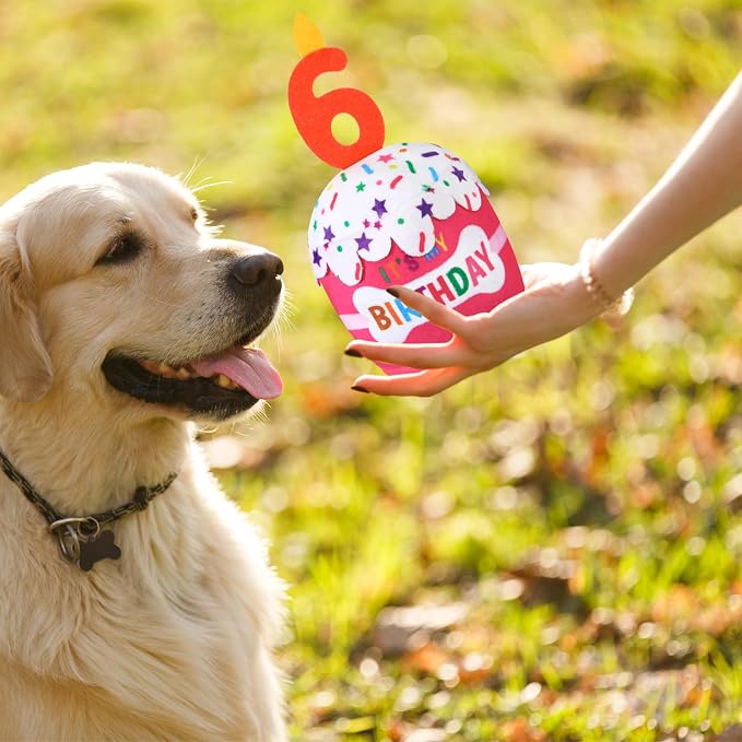 Dansydaisy Dog Birthday Cake Toy Squeaky Plush Toy for Girl Boy Gifts, Chew Accessories for Dog Birthday Party Decor Favor for Large, Medium and Small Dogs(6th,Pink)