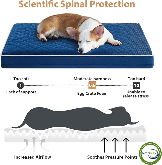WNPETHOME Orthopedic Waterproof Dog Bed Medium for Comfy Sleeping | Washable Medium Pet Bed with Removable Cover, Multi-Needle Quilting Dogs Crate Bed Blue 30x20 Inch