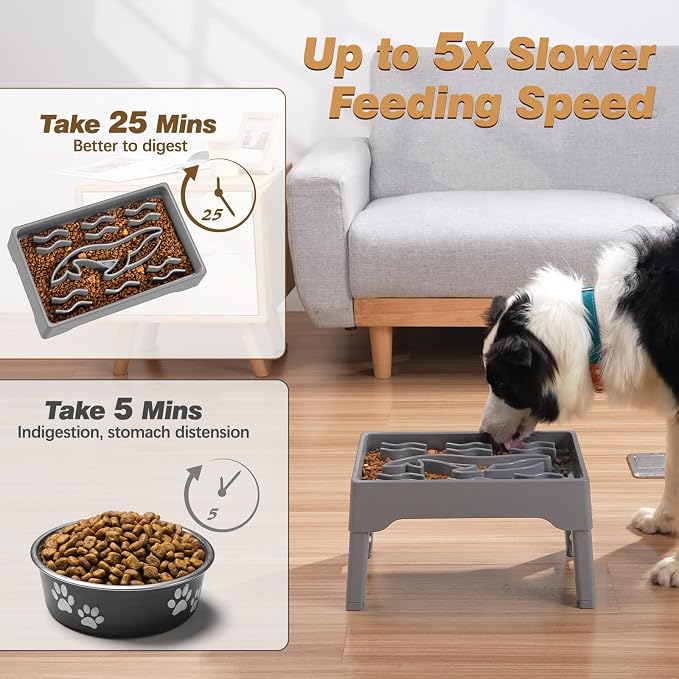 9 Cups Elevated Slow Feeder Dog Bowls 4 Adjustable Heights, Grey | Raised Dog Slow Feeder Bowls, Dog Food Bowl Stand, Non Slip Anti Gulping Slow Eating Dog Bowl for Medium & Large Dogs