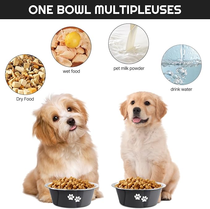 YUDANSI Dog Bowls 2 Pack Small Medium Dogs Feeding Food Water Bowl with Non-Slip Silicone Sole, Stainless Steel Dog Dishes Elevated Raised Pet Feeder(Black, M(3.6 Cups)