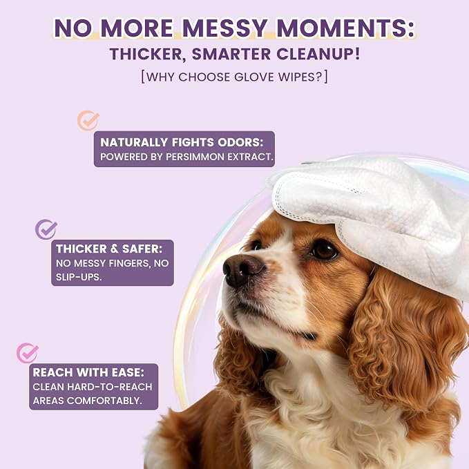 IMMHABI Hypoallergenic Pet Glove Wipes for Dogs & Cats, 50 Count | Between-Bath Freshening, Head-to-Paw Grooming, Instant-Cleaning & Deodorizing, Lick-Safe Formula, Lavender Scent