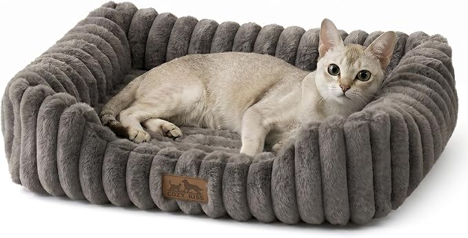 COZY KISS Orthopedic Pet Bed for Small Cats - Washable Rectangle Pet Bed with Anti-Slip Bottom, Soft Calming Cat & Puppy Bed for Indoor Pets (20"x18"x6", Grey)