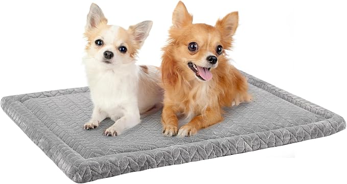 BEAUTYZOO Dog Crate Pad Washable Ultra Soft Pet Kennel Mat Small, 24" Gray | Ultra Soft Crate Pad,Anti-Slip Bottom,Waterproof Lining Protects Floors & Furniture,Comfortable Cozy Mats for Cage Car Travel