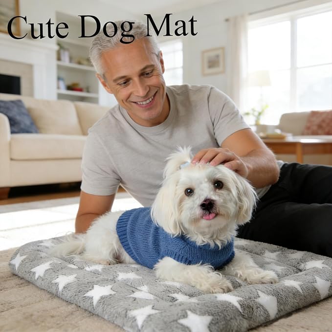 Dog mat