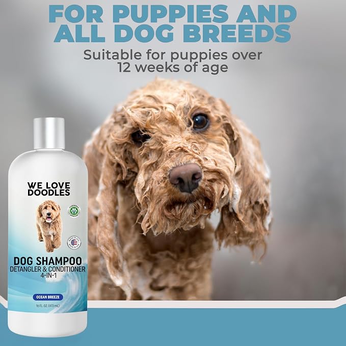 Dog Shampoo, Conditioner & Detangler, Gentle Tearless, Ocean Breeze, 16OZ | For Sensitive Itchy Skin, Hypoallergenic, Tearless, Best Shampoo For Smelly Dogs, Goldendoodle, Poodle & Doodle, Made in USA