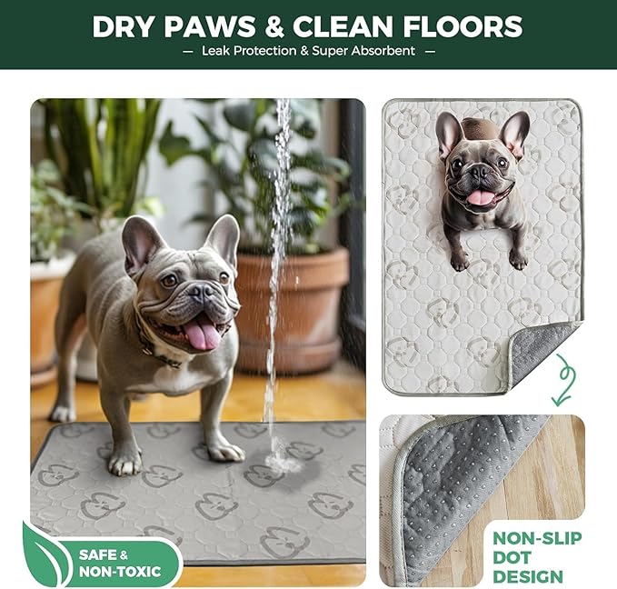 FXW Washable Pee Pads for Dogs, Super Absorbent, 23" x 35", 2 Packs | Machine washable, Non-slip backing