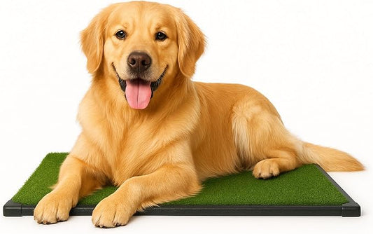 PETMAKER Artificial Grass Puppy Pee Pad for Dogs and Small Pets with Tray - 20x30 inches Washable 3-Layer Reusable Indoor Dog Potty Grass Training Pad, Easy Clean Pet Housebreaking Potty Solution