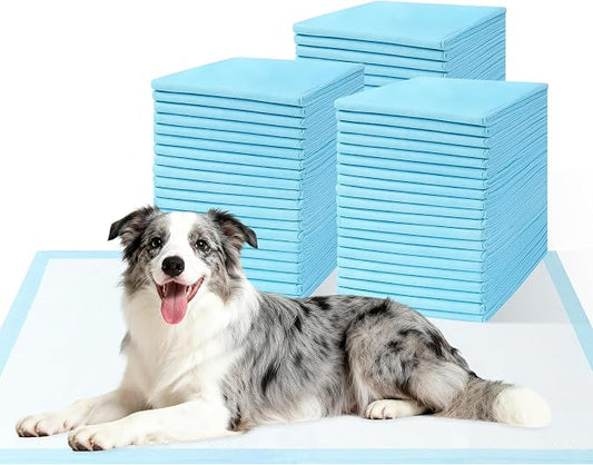 Large Dog Pee Pads 31"x36", 60 Count Value Pack for Stocking Up, 6-Layer Absorbent Potty Training Pads for Medium and Large Dogs, Leak-Proof Wee Wee Pads