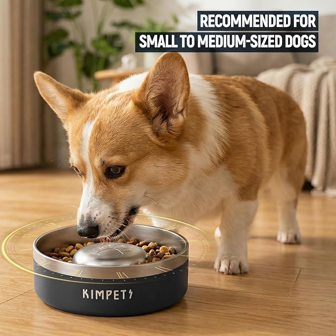 Dog Slow Feeder Bowls Food-Grade 304 Stainless Steel Dog Slow Feeder Bowl Double Wall Heavy Duty Non-Slip Rubber Base 2 Cups Capacity for Small Medium Dogs- Black