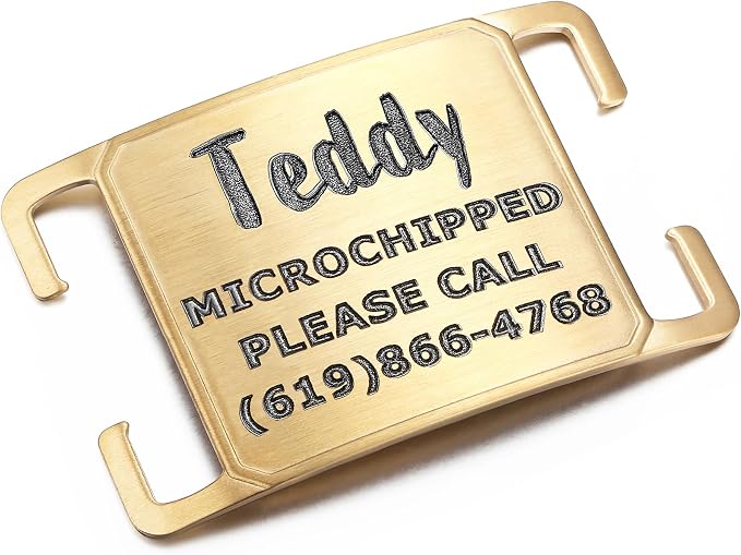 Rugged & Refined: Immovable Slide-On Pet ID Tag - Silent No-Noise Design - Deep Laser Engraved Horology-Grade Steel - Large | PVD Gold