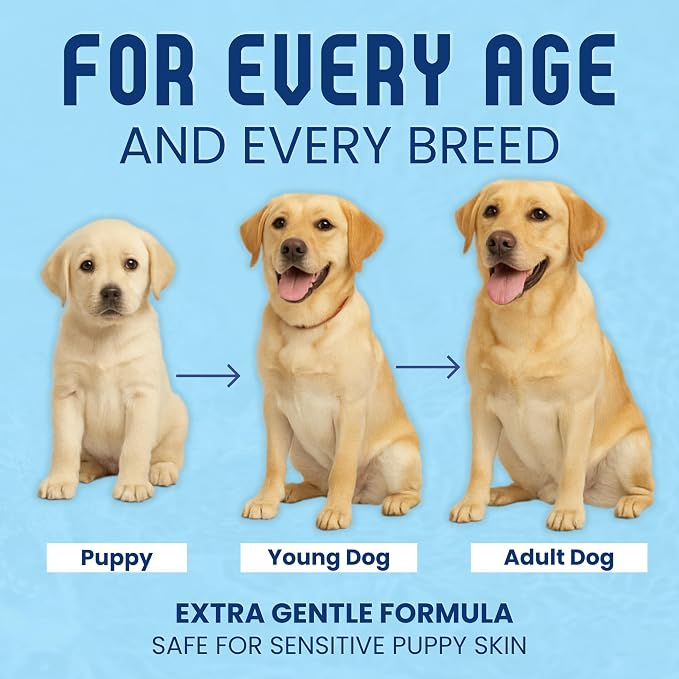Organic Dog Shampoo - Puppy Oatmeal Shampoo for Itchy Skin Relief - Hypoallergenic for Sensitive Skin, for Groomers & Professionals, Made in USA, 1 Gallon (Unscented)