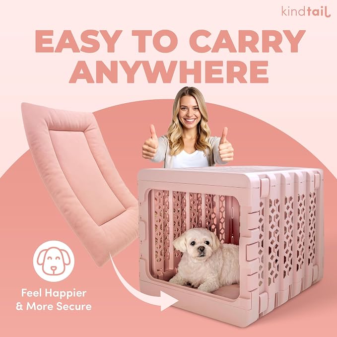 Dog Crate Pad - Soft Velvet, Reversible Bed - Machine Washable Kennel Mat for Pets up to 25 lbs - Mattress for Cozy Sleeping - 25” x 19” x 1” (Pink, Medium)