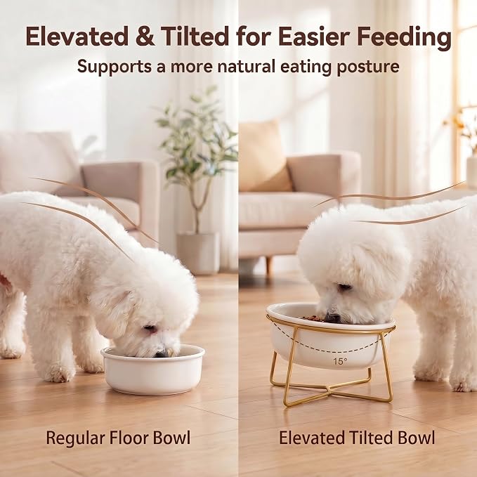 White Large Ceramic Tilted Elevated Cat Dog Bowl Raised Cat Food Water Bowl Dish Pet Comfort Feeding Bowls with Gold Iron Stand