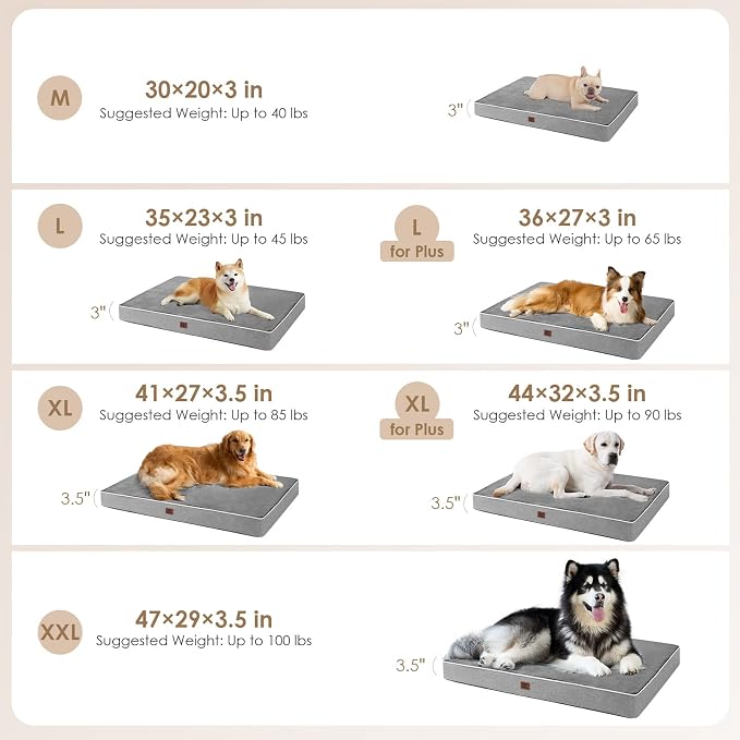 EHEYCIGA Medium Memory Foam Dog Crate Bed Washable, 30x20Inch, Grey | High Density Egg Crate Foam, Waterproof Liner, Removable Easy Clean Cover, Non-Slip Bottom, Fits Crate, Floor and Sofa