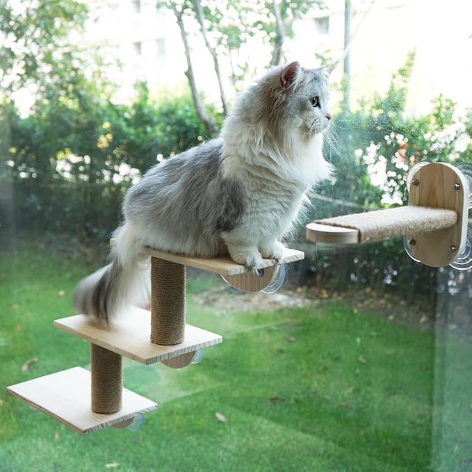 Cat Window Ladder 3-Levels for Indoor Cats, Climbing Window Shelf | with Strong Suction Cups, for Bird-Watching & Play, Space-Saving