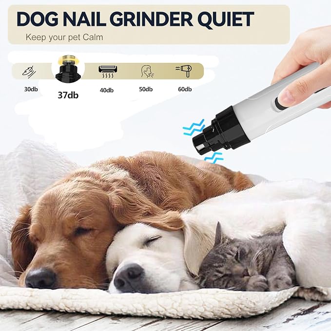Silent Pet Nail Grinder for Dogs & Cats, 3 Grinding Heads | Professional 2-Speed Rechargeable Dog Nail Trimmer for Small/Medium Dogs & Cats, Painless Paw Grooming