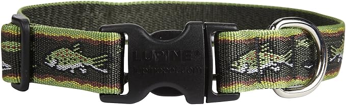 LupinePet Originals 1" Brook Trout 12-20" Adjustable Collar for Medium and Larger Dogs