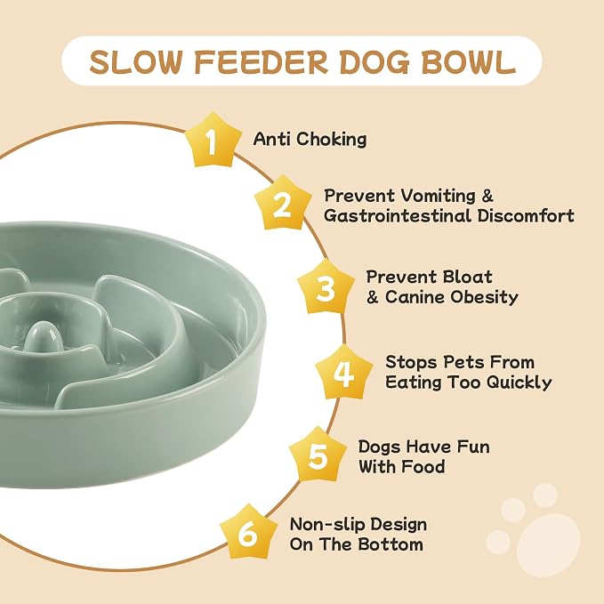 Havniva 6.1” Raised Slow Feeder Dog Bowls Set, 0.9 Cups Ceramic Slow Feeder Dog Bowl and 6.1” Dog Water Bowl with Elevated Wooden Stand Puzzle Dog Food Bowl for Small Dogs Anti-Gulping & Anti-Choking