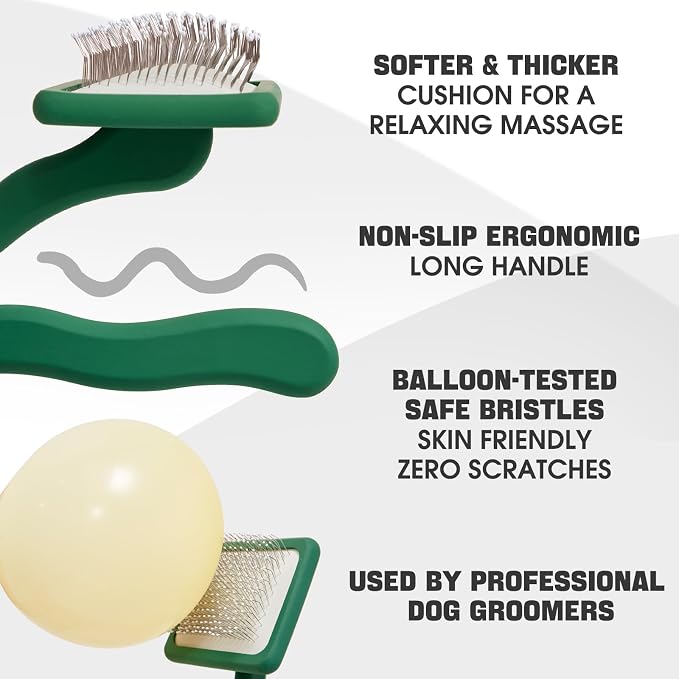 Bonteck Dog Slicker Brush for Dogs Grooming Kit 5PCS | Large Dog Brush for Goldendoodles Poodles Doodles | Long Pin Haired Brush | Poodle Brushes and Comb (Green)