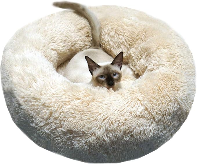 Modern Soft Plush Round Pet Bed for Cats or Small Dogs, Mini Medium Sized Dog Cat Bed Self Warming Autumn Winter Indoor Snooze Sleeping Cozy Kitty Teddy Kennel (24'' D x 8'' H, Champagne)