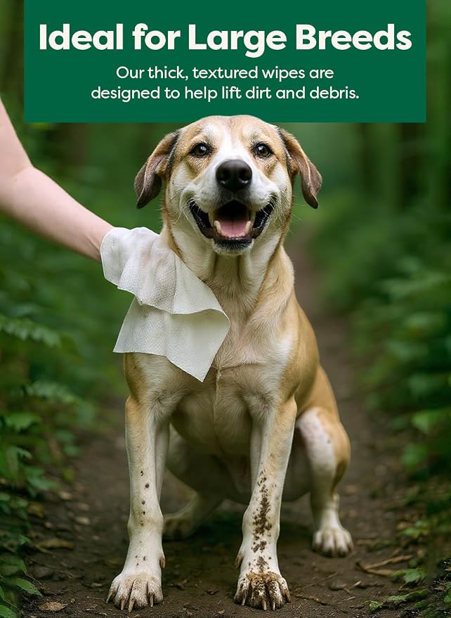 earth rated XL Pet Wipes for Dogs & Cats, Unscented Hypoallergenic, 60 Ct
