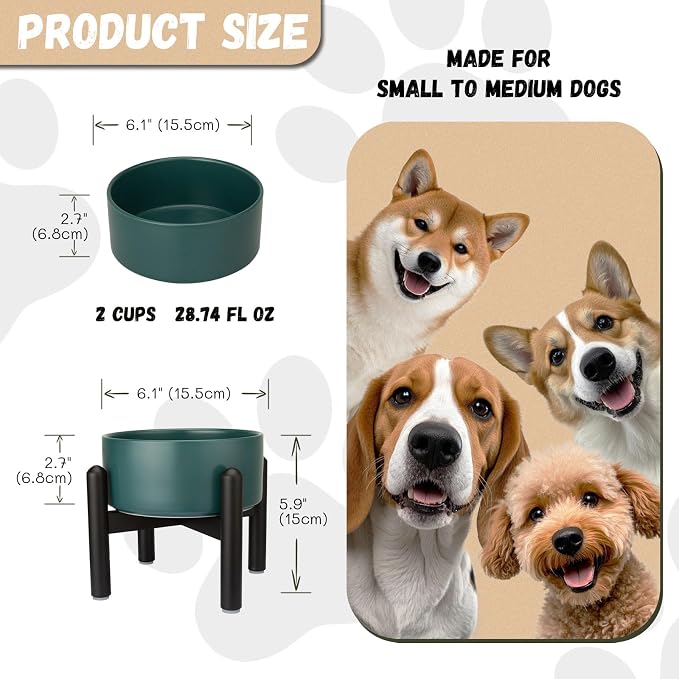 Raised Ceramic Dog Bowl, 6.1'' Modern Feeding Bowl with Non-Slip Stainless Steel Stand, Elevated Food or Water Dish for Small to Medium Dogs, 2 Cups (28.75 fl oz) - Green