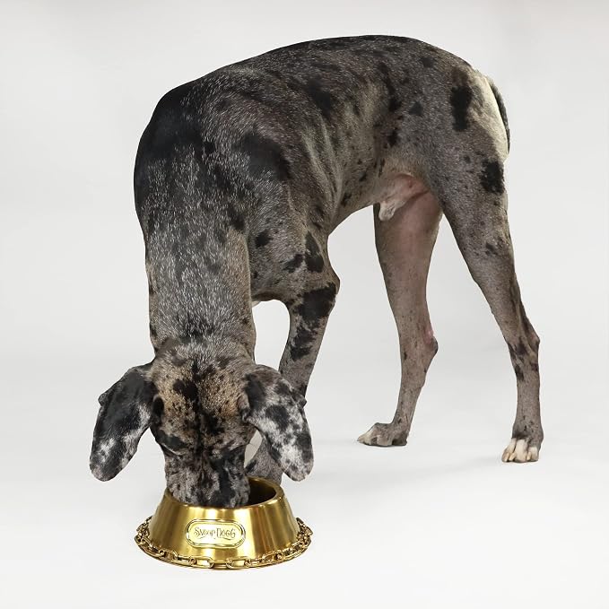 Snoop Doggie Doggs Off The Chain Deluxe Pet Bowl