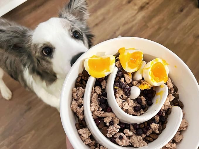 LE TAUCI PET Ceramic Slow Feeder Dog Bowls Elevated for Small and Medium Breed with Wooden Stand, 1.5 Cups Dog Dishes to Slow Down Eating, Anti-Gulping Pet Feeding Dishes,White