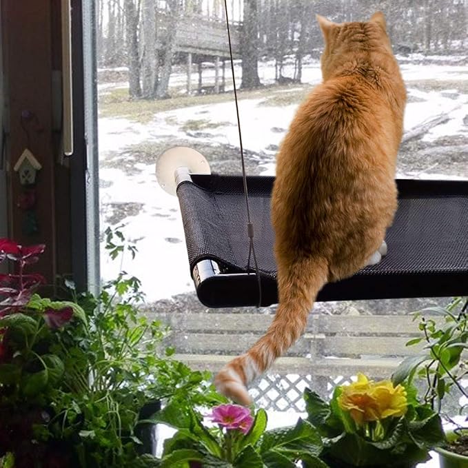 Cat Perch Cat Window Perch Window Cat Perch Hammock Cat Window Hammock Bed Cat Window Seat Kitty Window Sunny Seat Durable Big Pet Perch With Upgraded 4 Big Suction Cups Cat Bed Holds Up To 60lbs