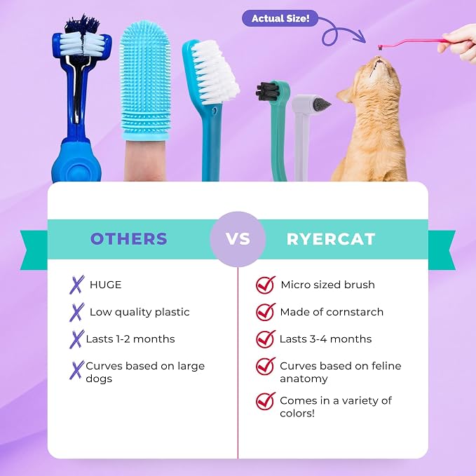 RYERCAT Set of 2 Dual Sided Cat Toothbrush - Kitten Toothbrush with Micro Head to fit into Cat/Kittens Mouth - Cat Dental Care Supplies - Pet Toothbrush for Cats(Lavender Purple & Ocean Blue)