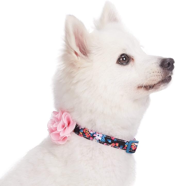 Blueberry Pet Made Well Elegant Floral Print Adjustable Dog Collar in Sleek Black with Pink Artificial Silk Flower, X-Small, Neck 7.5"-10"