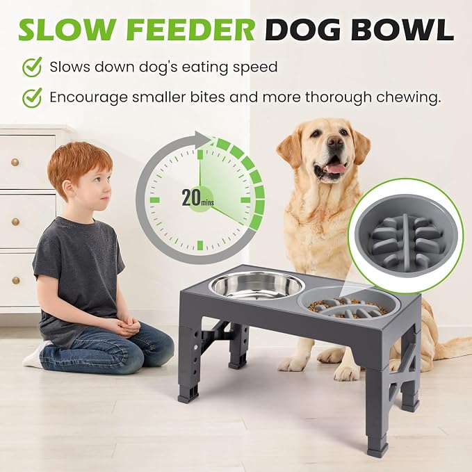 Elevated Dog Bowls with 5 Adjustable Heights Stand | 2 Stainless Steel Bowls, 1 Slow Feeder, 3.2" to 12.2" Hegiht Raised Dog Bowl for Small to Large Dogs