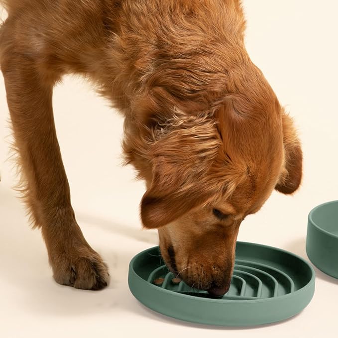 Should We Go? Slow Feeder Dog Bowls - Large Size Silicone Slow Eating Dog Bowl for Puppies & Dogs with Suction Cup -Dishwasher-Safe, Lick Mat Design, Reduces Gulping,for All Breeds,9.5”x1.5”- Spruce
