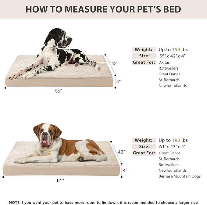 WNPETHOME Orthopedic Giant Human Dog Beds for Adult & Dog Cozy Sleep | Human Washable Waterproof Dogs Bed with Removable Cover, Multi-Needle Quilting Dogs Crate Bed for Relax , Beige 61x43 Inch