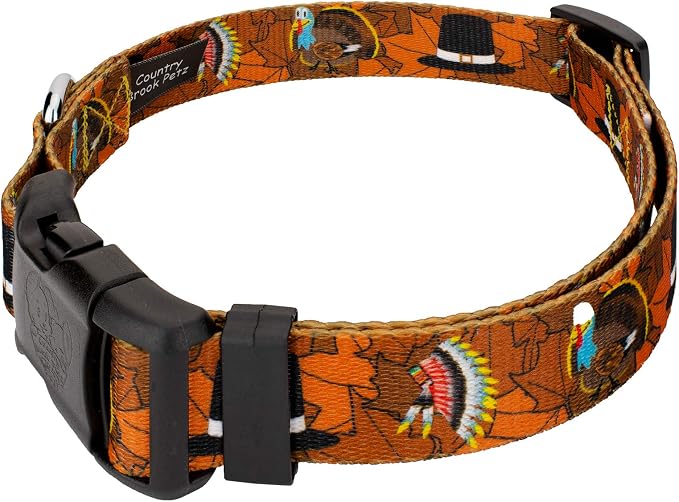 Country Brook Petz - Thanksgiving Tradition Everyday Dog Collar - Made in The U.S.A. - Awesome Autumn Collection Featuring Designs You Will Fall for (1/2 Inch, Extra Small)