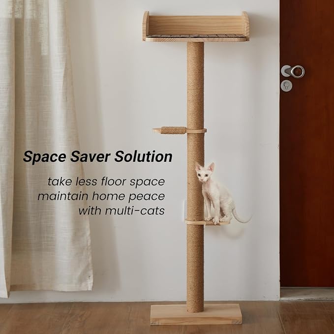 Cat Window Perch with Tall Scratching Posts, Inside 48 in Tall Climbing Tree Hammmock Mounted with Suction Cups for Climbing, Bird Watching, and Play, Supports 45 lbs