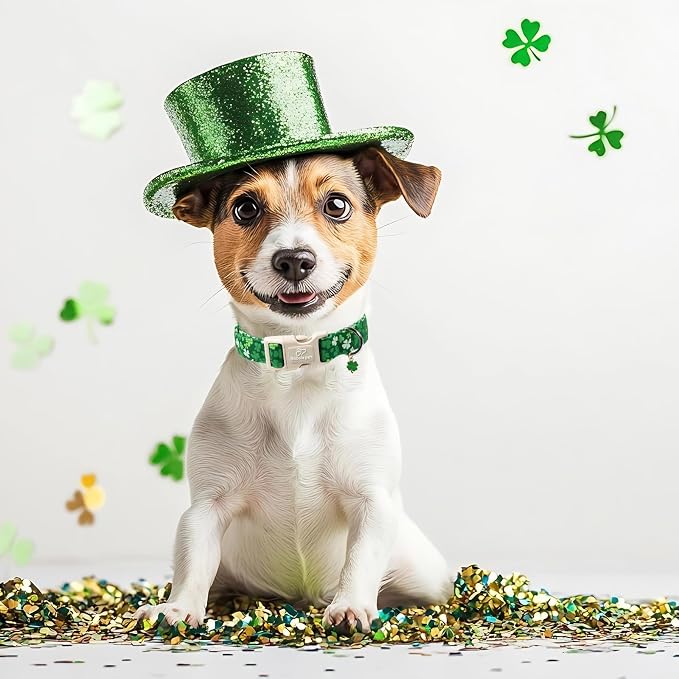 St. Patrick's Day Dog Collar for Medium Dogs - Bold Green Lucky Clover Dog Collars, Cute Irish Party Shamrock Puppy Collar, Lightweight Adjustable St. Patricks Day Pet Collars M
