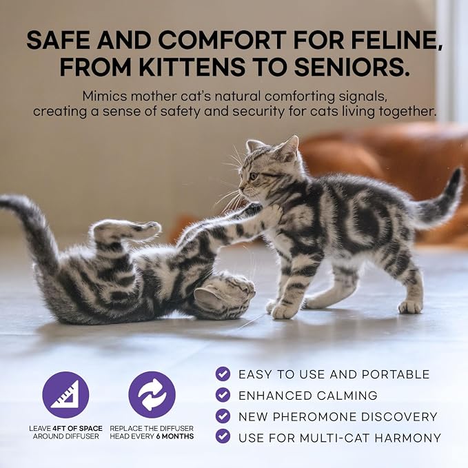 Cat Pheromones Calming Diffuser: Premium Cat Calming Diffuser - cat Calming pheromone Diffuser - cat pheromone Diffuser - cat Diffuser Calming - pheromone Diffuser to Calm Cats, 2 Pack