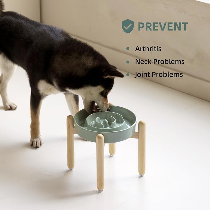 Havniva 8.2” Raised Slow Feeder Dog Bowls, 1.6 Cups Ceramic Dog Bowl Slow Feeding for Medium Breed, Elevated Puzzle Dog Food Bowl with Wooden Stand Non-Slip Anti-Gulping & Anti-Choking