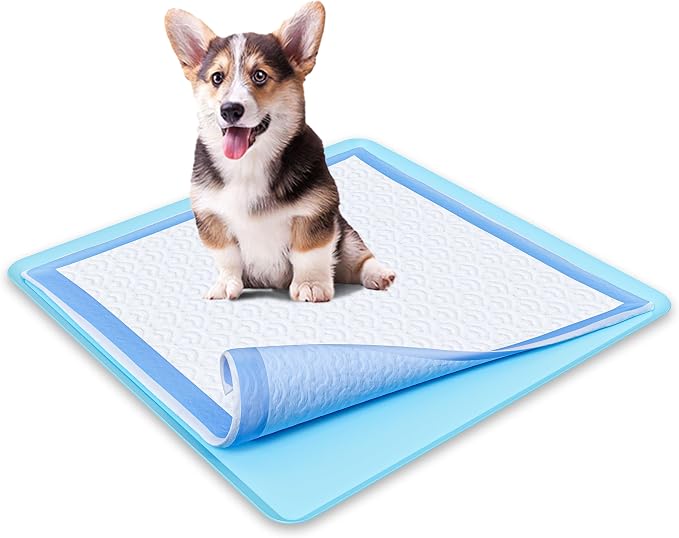 Skywin TidyFriend Dog Pee Pad Holder - Fits Up to 24” x 24” Pee Pad Holder for Dogs - Stable Grip, Soft Edges, Quick Wipe Silicone Surface Dog Pad Holder for Indoor Flooring Protection(Sky Blue)