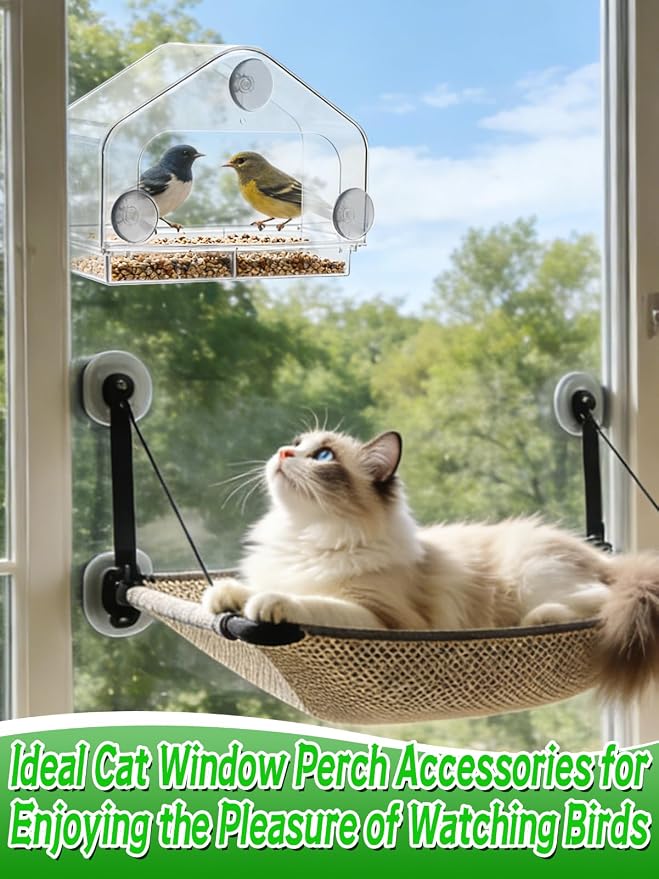 MEWTOGO Outdoor Window Bird Feeder for Cats Viewing, Large | Clear Bird Feeder with Strong Suction Cup, Cat Perch Accessories for Entertaining Watching