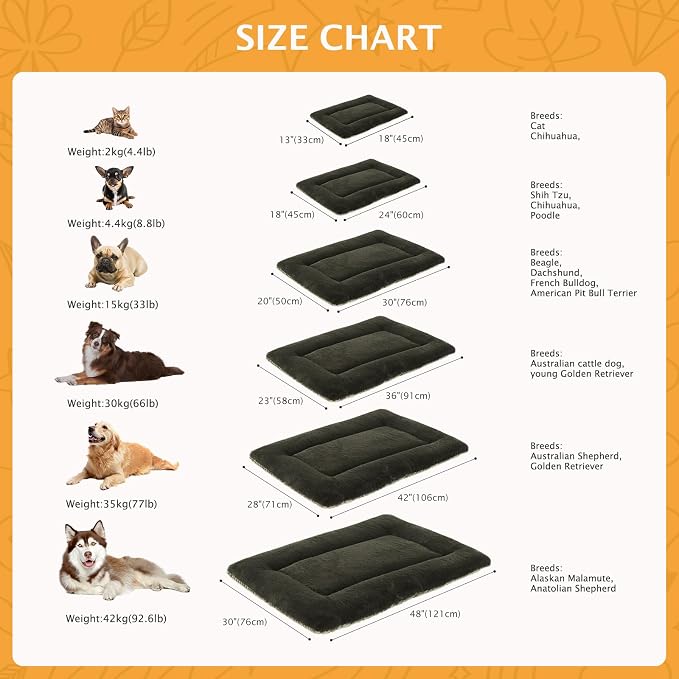 Reversible Dog Bed Mat with Plush and Corn Velvet,Soft Warm Pet Cushion, Dual Purpose Washable Sleeping Mattress Bed for Small Medium Large Dog and Cat XB004 (30"x20", Dark Green)