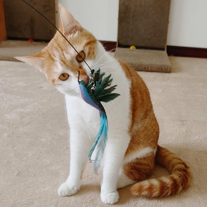 miwoowim Interactive Cat Toys for Indoor Cats - 35'' Steel Wire and 6PCS Feather Bird Refills,Teaser Toy,Cat Wand Toy,Feathers & Bells, Realistic Bird Impression (7 PCS)