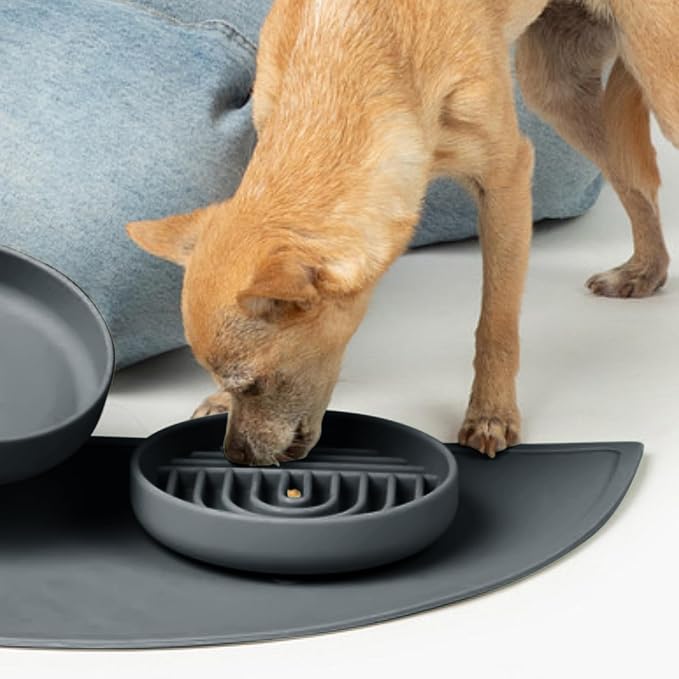 Should We Go? Slow Feeder Dog Bowls - Small Size Silicone Slow Eating Dog Bowl for Puppies & Dogs with Suction Cup -Dishwasher-Safe,Lick Mat Design,Reduces Gulping, for All Breeds, 6”x1.25”- Charcoal