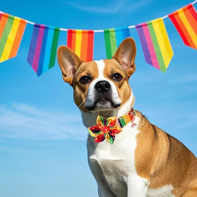 DOGWONG Rainbow Dog Collar with Flower for LGBT Pride Month - Adjustable and Comfortable LGBT Pride Dog Collar for Large Medium Small Pet
