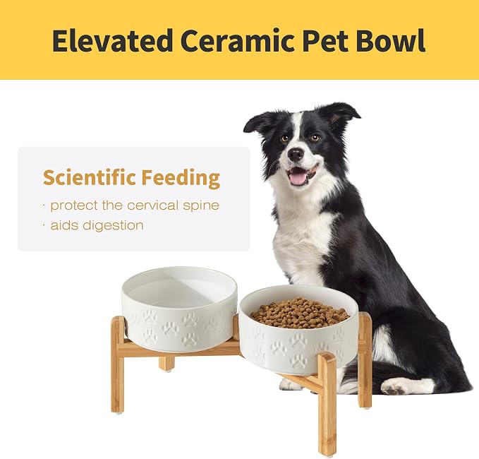 Elevated Ceramic Dog Bowl Set, Anti-Skid Bamboo Stand, White, 7.3 inch | Food and Water Bowls with Fixed Non-Slip Rubber Ring, Microwave Safe, Easy to Clean, 5 Cup per Bowl, for Medium Sized Dogs