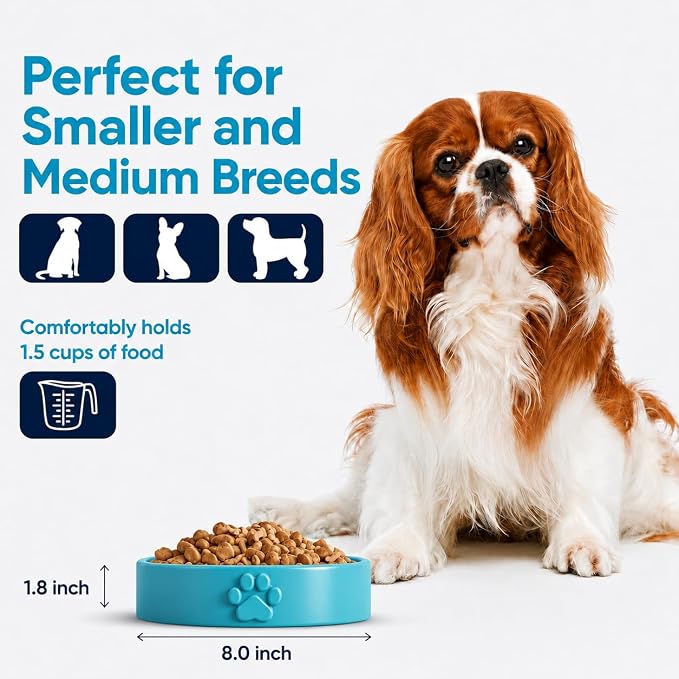 Slow Feeder Dog Bowls – 1.5-Cup Ceramic Dog Bowl Slow Feeder – Microwaveable Dog Slow Feeder for Small and Medium Dogs – Lead and BPA-Free Ceramic Pet Bowl – Pet Feeder for Fast Eaters
