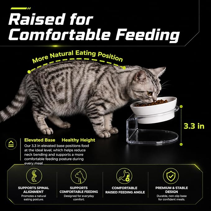 LivLab Mker Raised Cat Bowl, 15° Tilted, 4.5 in High, White | 15° tilted shallow melamine bowl on a 4.5 in raised stand supports comfortable feeding and reduces whisker contact.